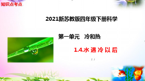 新苏教版四年级科学下册11.探究昆虫的奥秘知识点考点【复习课件详细】