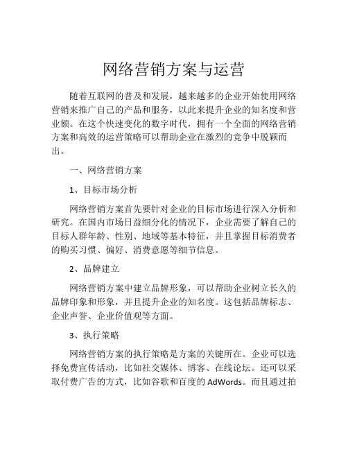 网络营销方案与运营