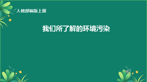 统编版道德与法治四年级上册4.10《我们所了解的环境污染》 第一课时  课件(共11张PPT)