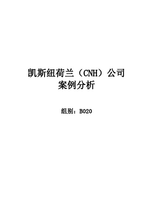 B020凯斯纽荷兰CNH公司