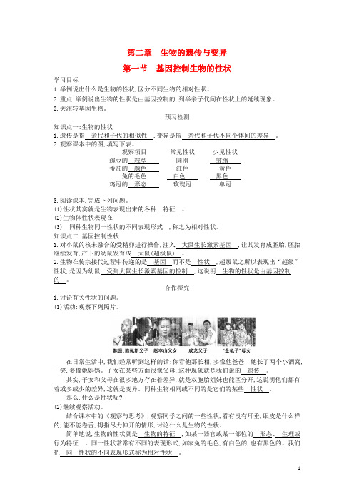 八年级生物下册 7.2.1 基因控制生物的性状导学案 (新版)新人教版