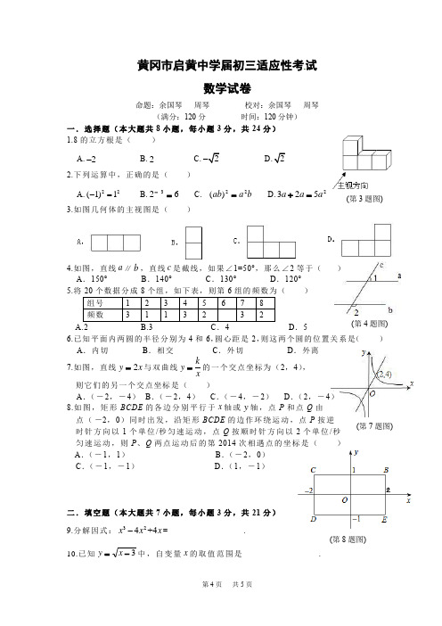 中考适应性考试数学试题(含答案)