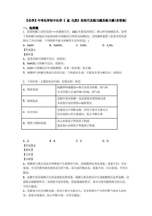 【化学】中考化学初中化学《 盐 化肥》的技巧及练习题及练习题(含答案)