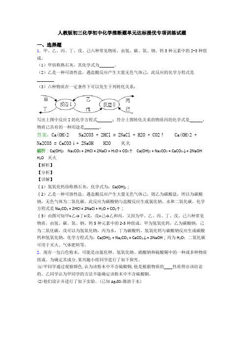 人教版初三化学初中化学推断题单元达标提优专项训练试题