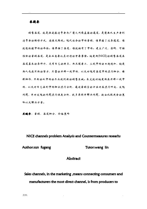 纳爱斯渠道问题分析及对策研究    文档