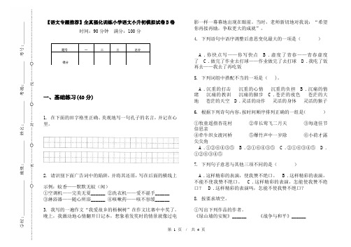 【语文专题推荐】全真强化训练小学语文小升初模拟试卷B卷