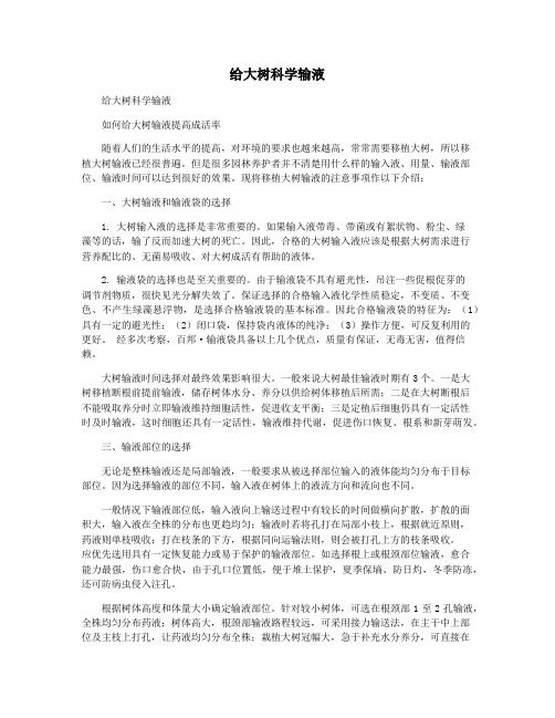 给大树科学输液