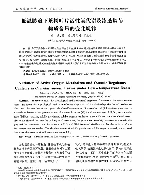 低温胁迫下茶树叶片活性氧代谢及渗透调节物质含量的变化规律