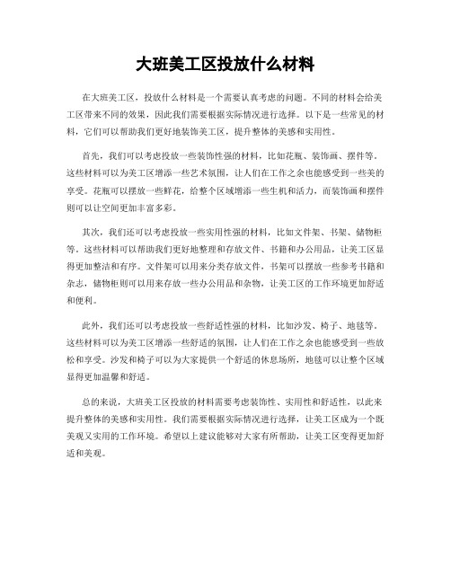 大班美工区投放什么材料