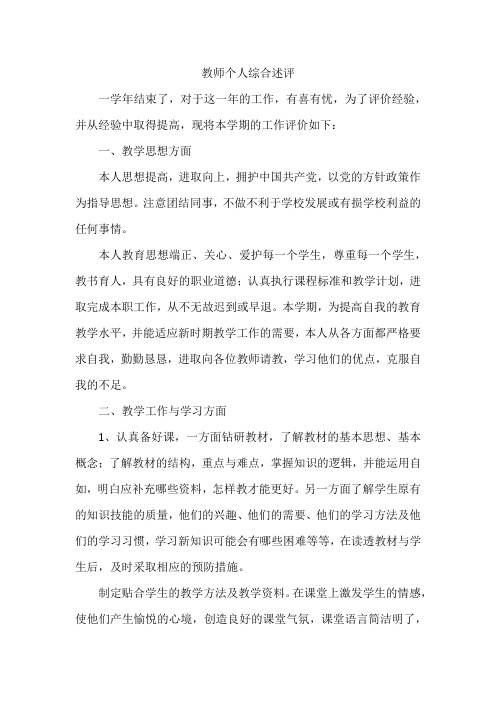 教师个人综合述评