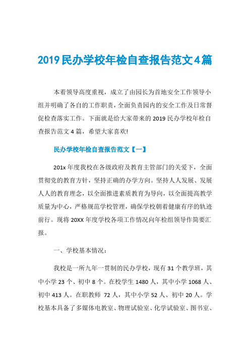 2019民办学校年检自查报告范文4篇