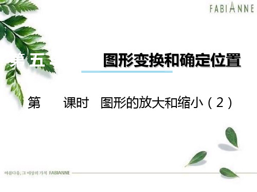 六年级数学上册 第五单元 图形变换和位确定置(第2课时)图形的放大和缩小 西师大版优质公开课件