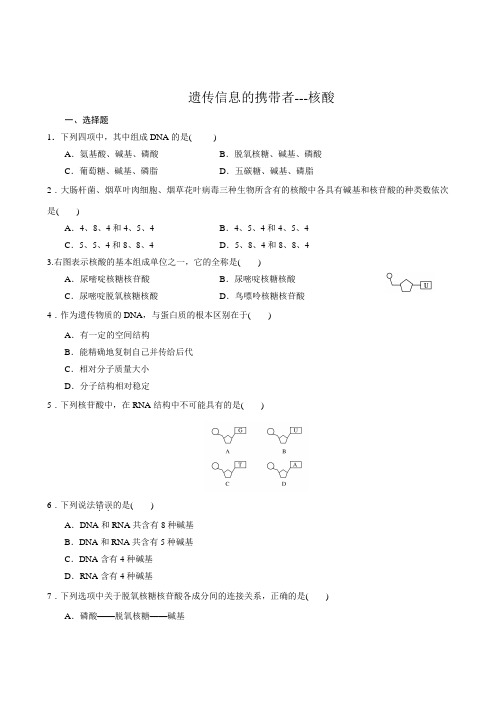 生物：2-3遗传信息的携带者---核酸同步练习