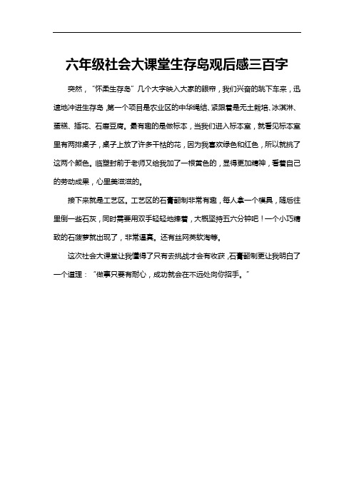 六年级社会大课堂生存岛观后感三百字