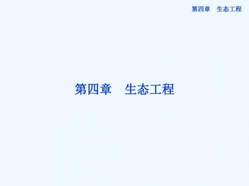 高中生物同步课件41生态工程及其原理(苏教版选修3)