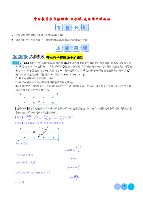 大题  带电粒子在匀强磁场、组合场、复合场中的运动(解析版)