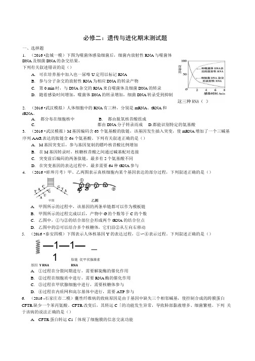 生物必修二-遗传与进化--期末测考试试题(带答案).docx