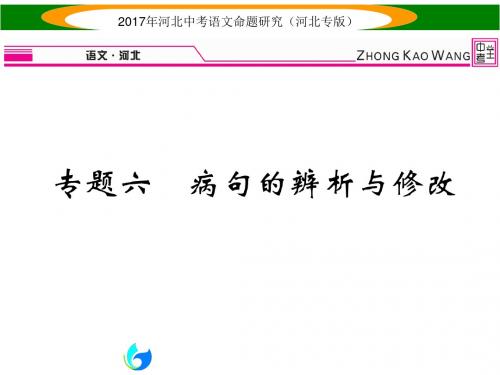 中考语文(河北专版)总复习课件 专题六  病句的辨析与修改