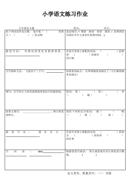 小学五年级语文课堂练习II (92)