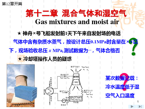 工程热力学第12章混合气体和湿空气