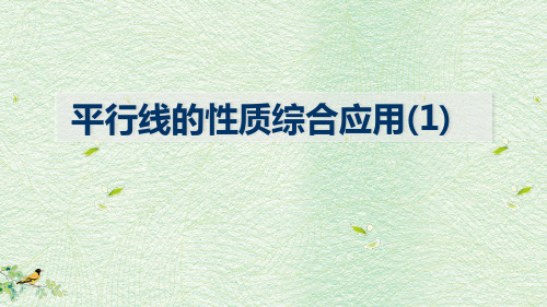 新北师大版七年级数学下册《二章 相交线与平行线  3 平行线的性质  平行线的性质综合应用》课件_14