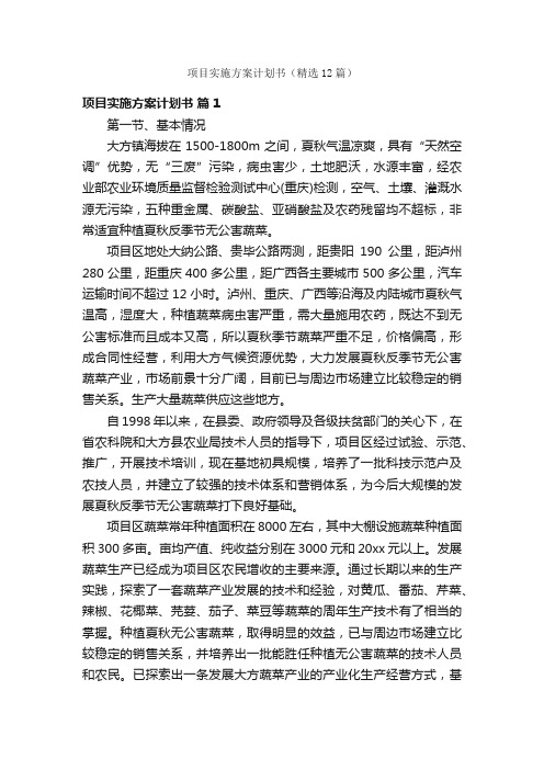 项目实施方案计划书（精选12篇）