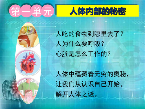 五下1.食物到哪里去了