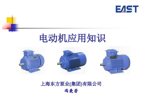 上海东方泵业集团电动机应用知识