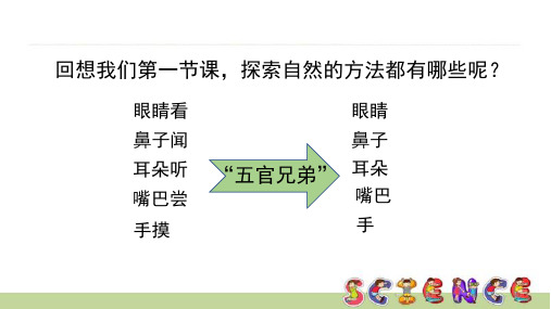 一年级上册科学课件 - 1.1 五官兄弟    大象版(共14张PPT)  