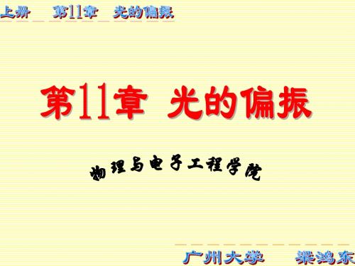 光的偏振