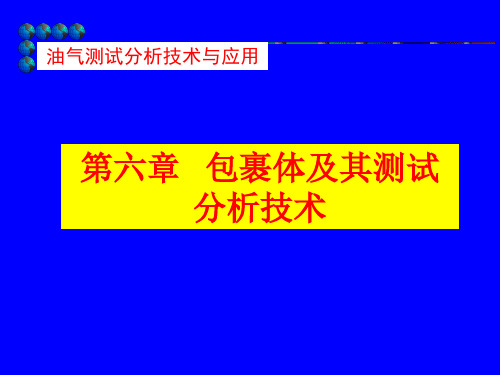 包裹体分析技术页PPT文档