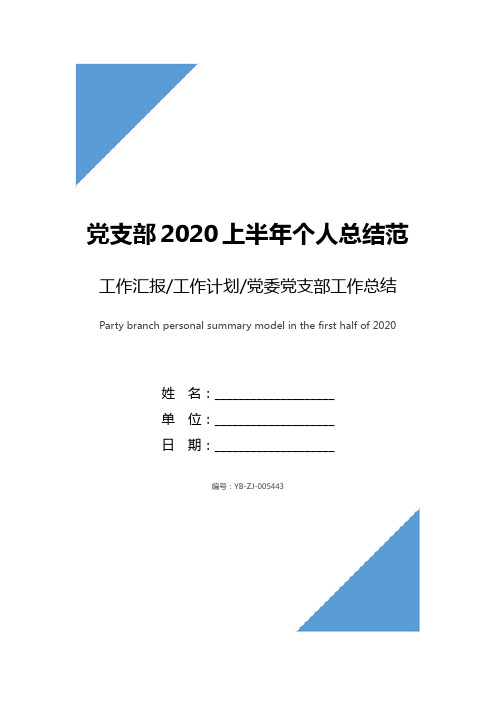 党支部2020上半年个人总结范文