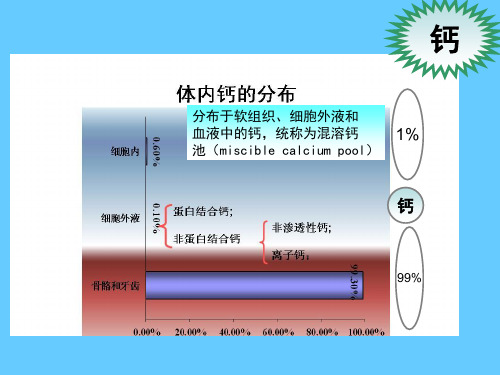 营养学——矿物质钙