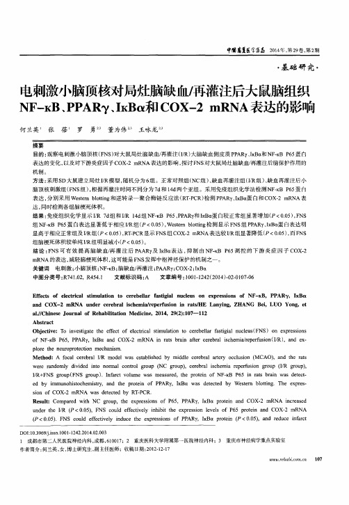 电刺激小脑顶核对局灶脑缺血/再灌注后大鼠脑组织NF-kB、PPARγ、IkBα和COX-2 mRNA表达的影响