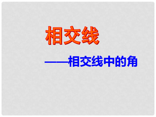 七年级数学上册 5.1 相交线—相交线中的角教学课件 (