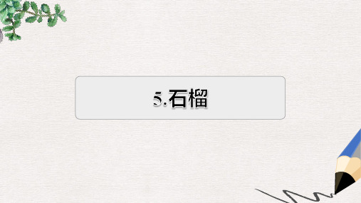 三年级语文上册第5单元16石榴习题课件1苏教版