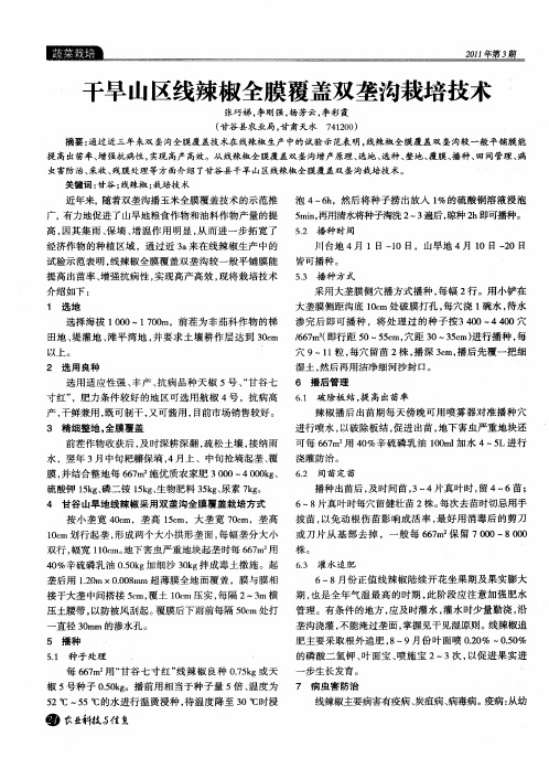 干旱山区线辣椒全膜覆盖双垄沟栽培技术