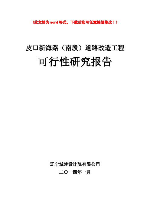 (最新版)新海路道路改造工程可行性研究报告