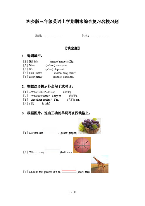 湘少版三年级英语上学期期末综合复习名校习题