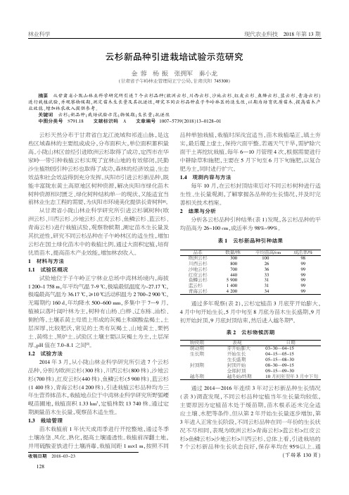 云杉新品种引进栽培试验示范研究