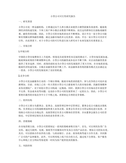 小贷公司可行性研究报告