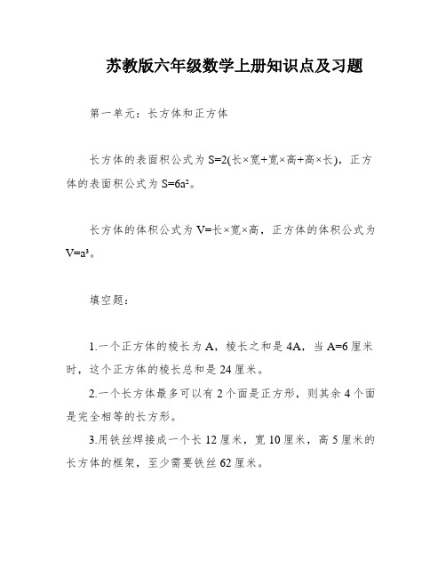 苏教版六年级数学上册知识点及习题