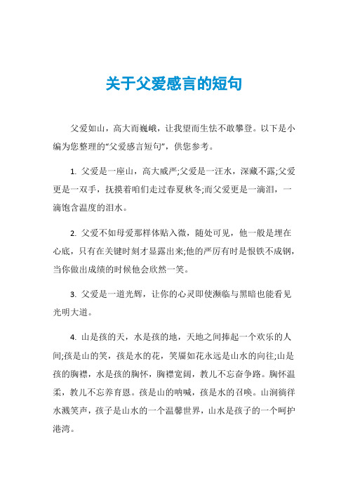 关于父爱感言的短句