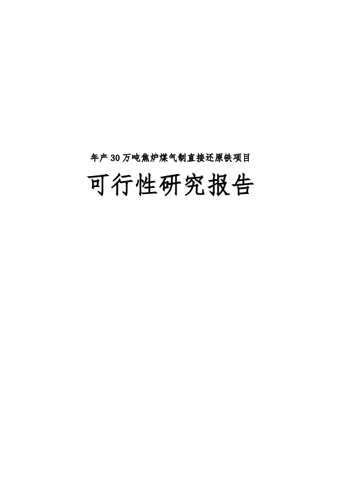 年产30万吨焦炉煤气制直接还原铁项目可行性实施报告