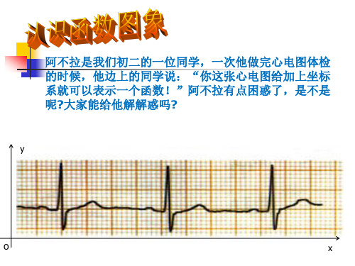 函数的图象课件