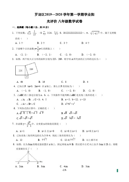 广东省深圳罗湖区2019-2020学年八年级第一学期学业水平阳光评价数学卷(PDF 有答案)