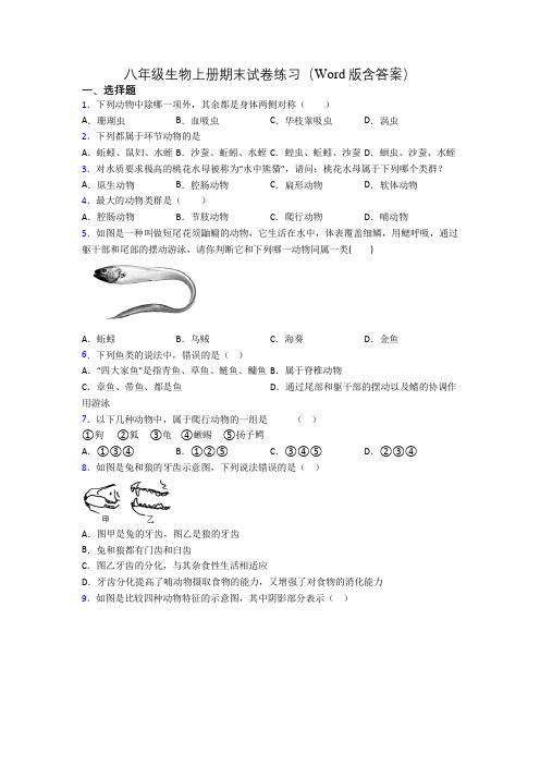 八年级生物上册期末试卷练习(Word版含答案)[020]