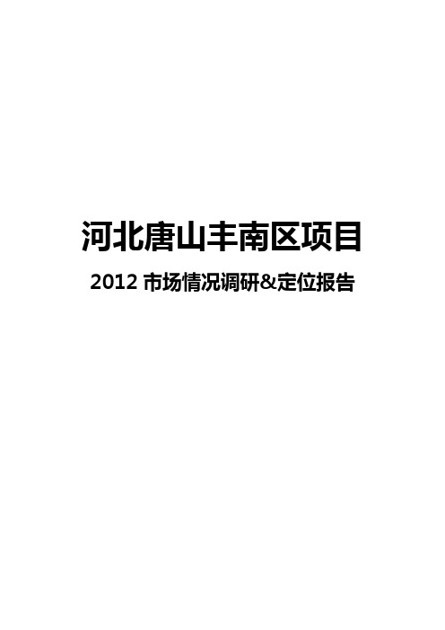 市场情况调研定位报告