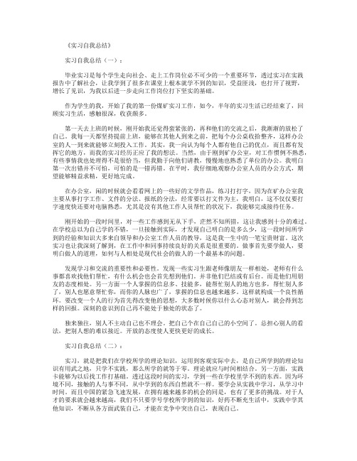 实习自我总结10篇