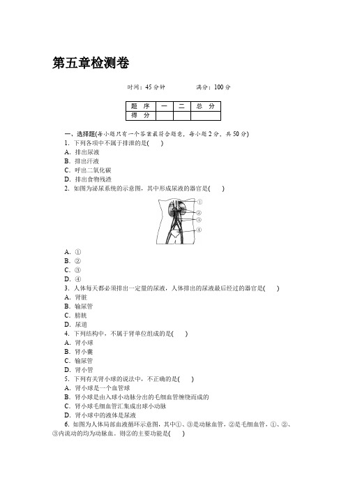 部编版七年级生物下册第五章  检测卷及答案